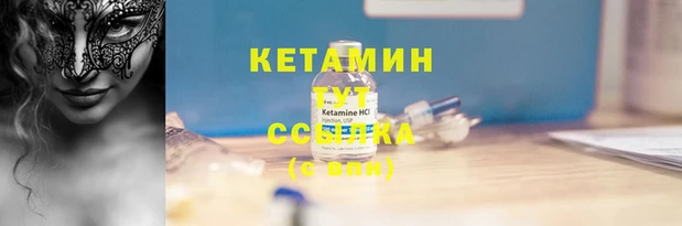 крисы Армянск