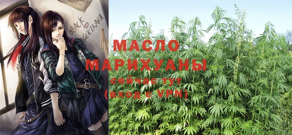 крисы Армянск